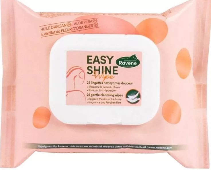 EasyShine Tüchlein